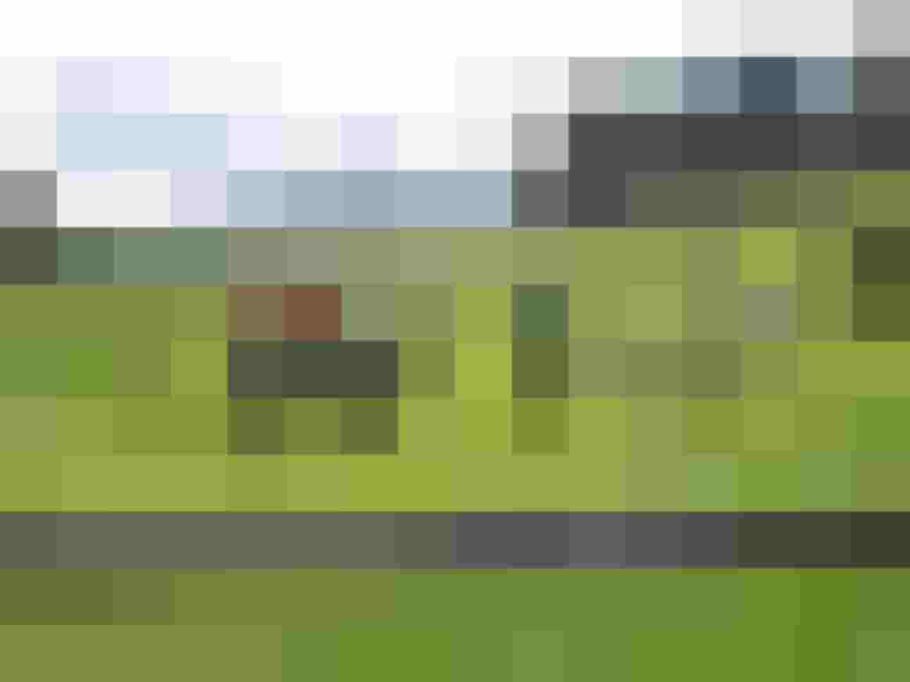 Teilnehmende beim Bogenschießen auf einem Rasen mit tierischen Zielobjekten im Hintergrund.