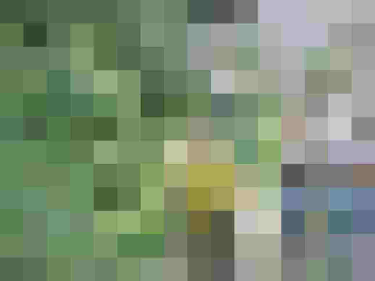 Gruppenteilnehmer beim Bogenschießen in der Natur, umgeben von grünen Pflanzen.