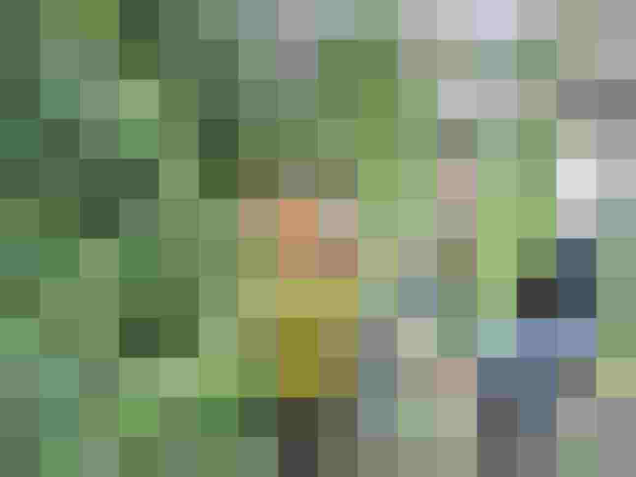 Gruppenaktivität beim Bogenschießen in der Natur, umgeben von Bäumen und Wiesen.