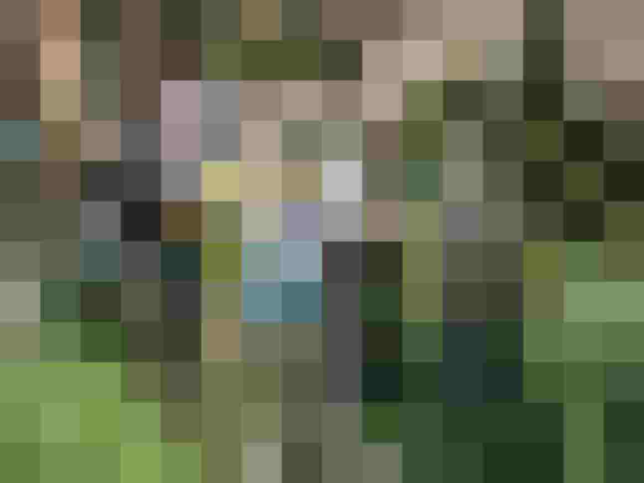 Teilnehmer beim Bogenschießen in der Natur, mit Bögen und Pfeilen, umgeben von Bäumen.