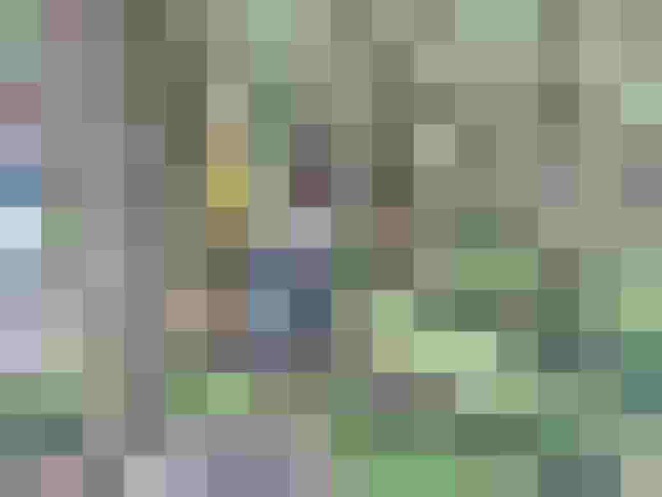 Eine Person schießt mit einem Bogen im Wald, umgeben von anderen Teilnehmern.