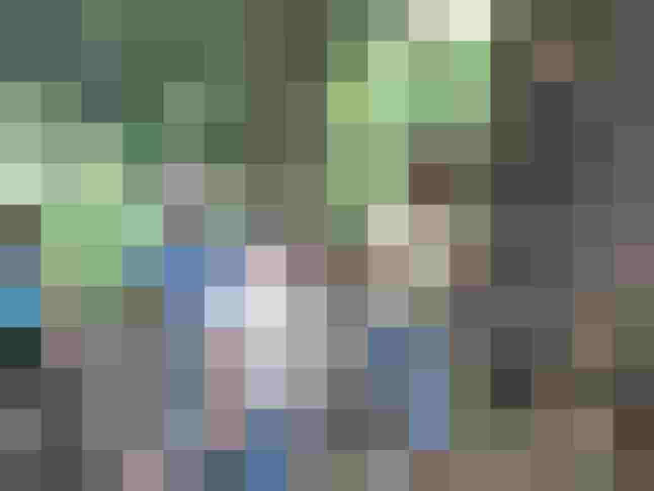 Gruppe von Kursteilnehmern beim Bogenschießen im Wald, umgeben von Bäumen und Natur.