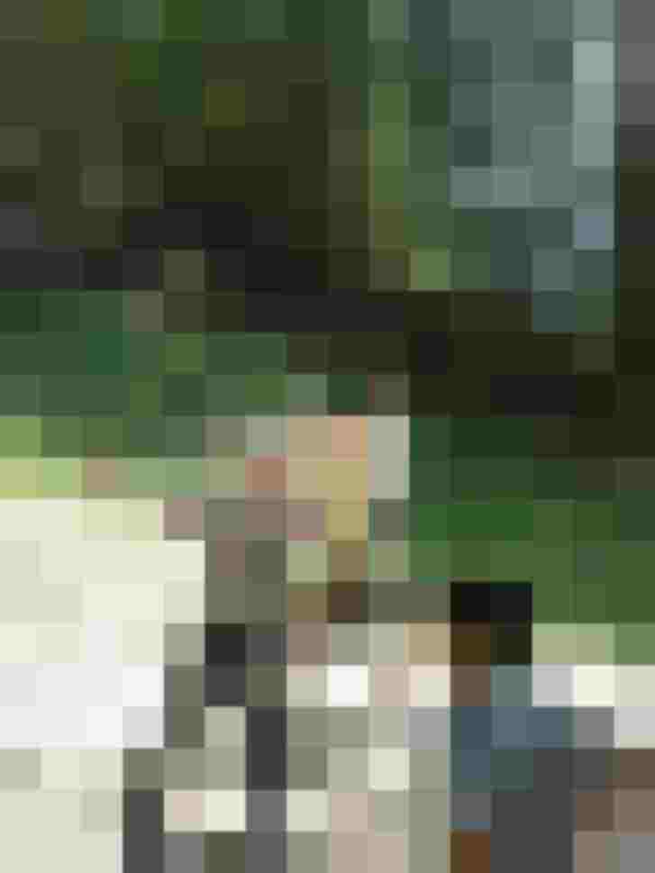 Gruppenteilnehmer üben das Bogenschießen im Wald, umgeben von Natur und Sonnenlicht.
