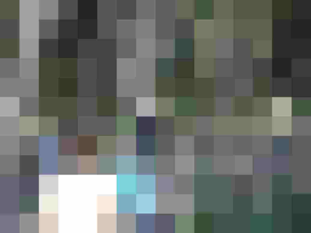 Gruppen von Menschen beim Bogenschießen im Wald, umgeben von Bäumen und Natur.