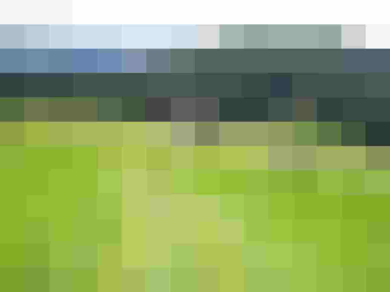 Weite, grüne Wiesen im Großraum Saalfelden, umgeben von Bergen und Wald.
