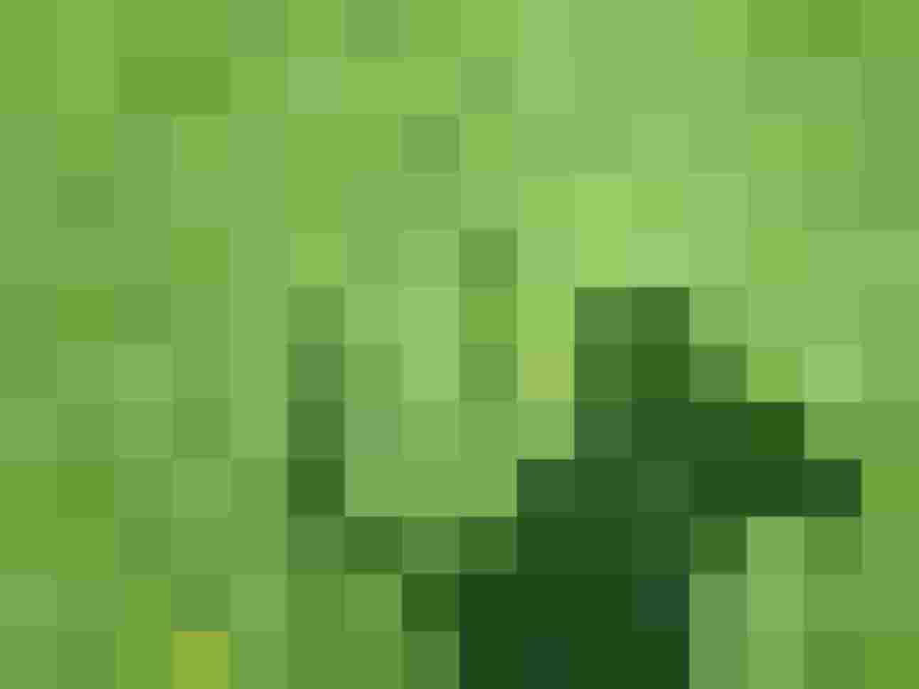 Schatten einer Person mit Bogen auf einer grünen Wiese, ideal für Bogenschießaktivitäten.