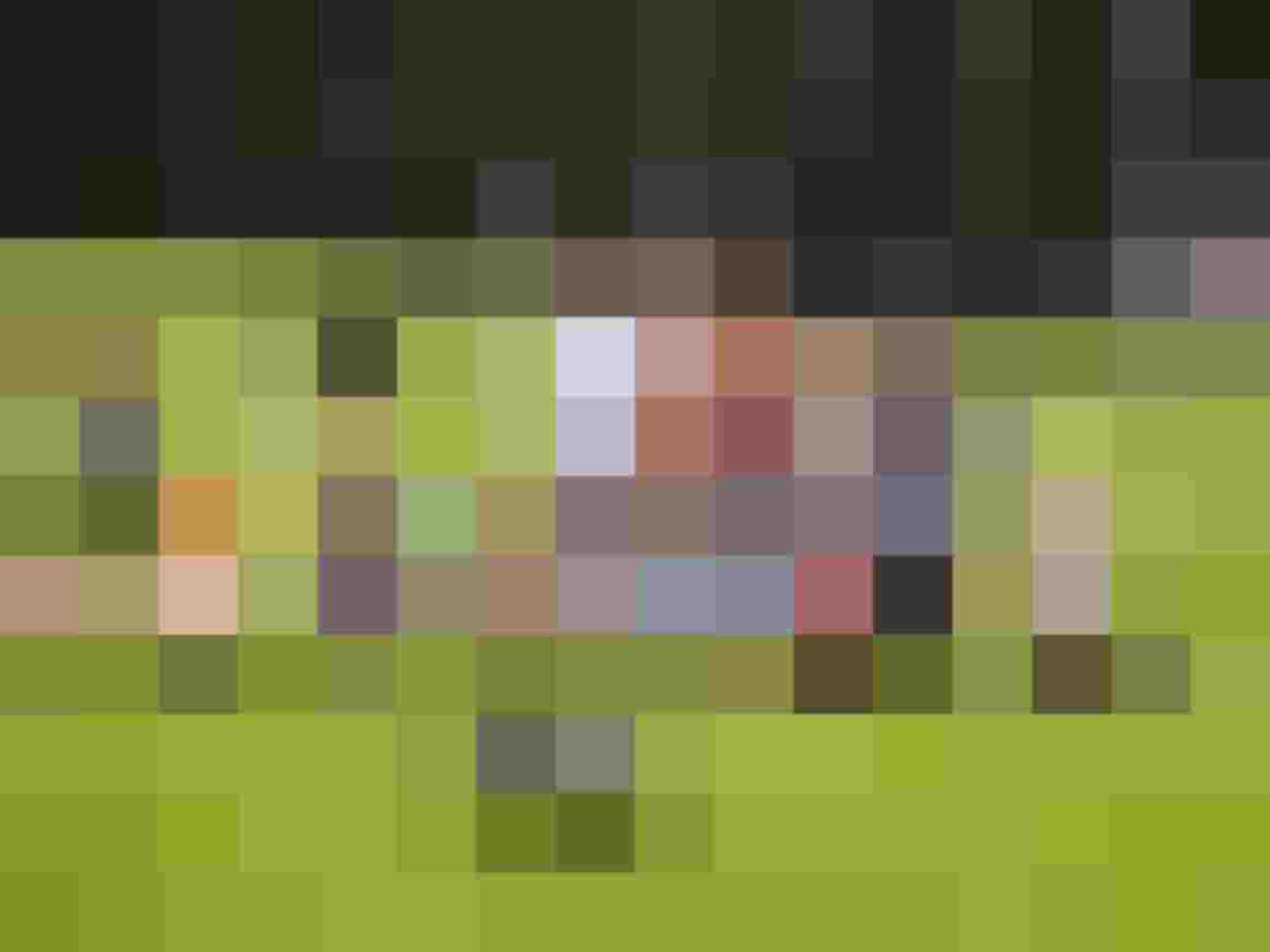 Gruppenfoto von Kindern und Jugendlichen mit Bögen auf einem Bogenparcours in der Natur.