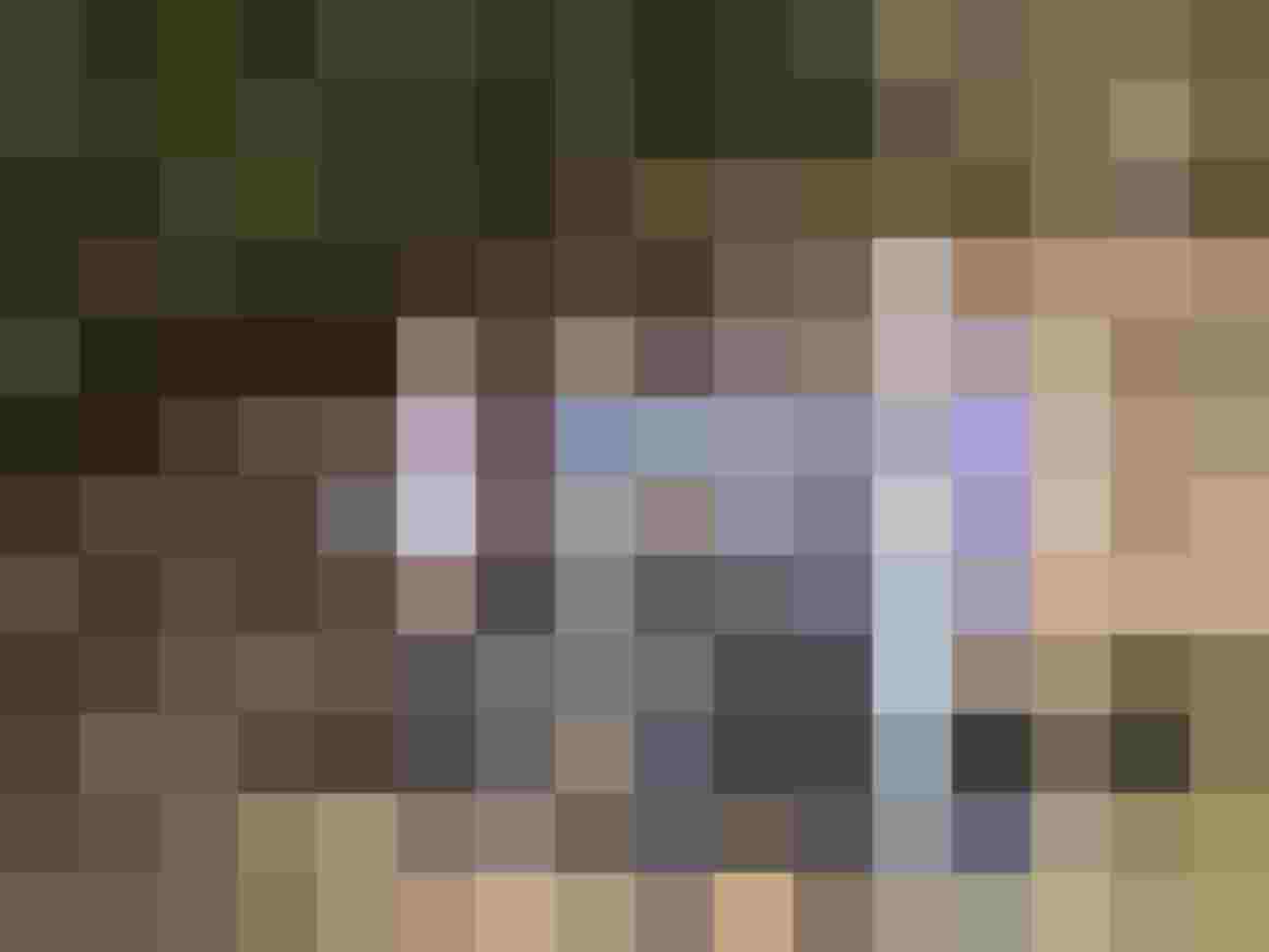 Gruppe von Bogenschützen im Wald mit Ziel auf ein Tiermodell im Hintergrund.
